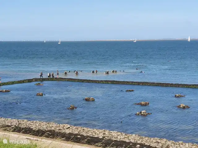 Maison de vacances en bord de mer | Pays-Bas, Zélande, Wemeldinge - maison de vacances à distance de marche de l'Oosterschelde