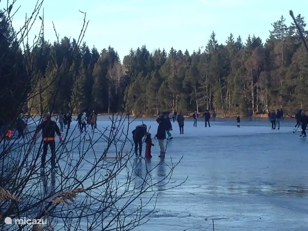 skating on the natural lake