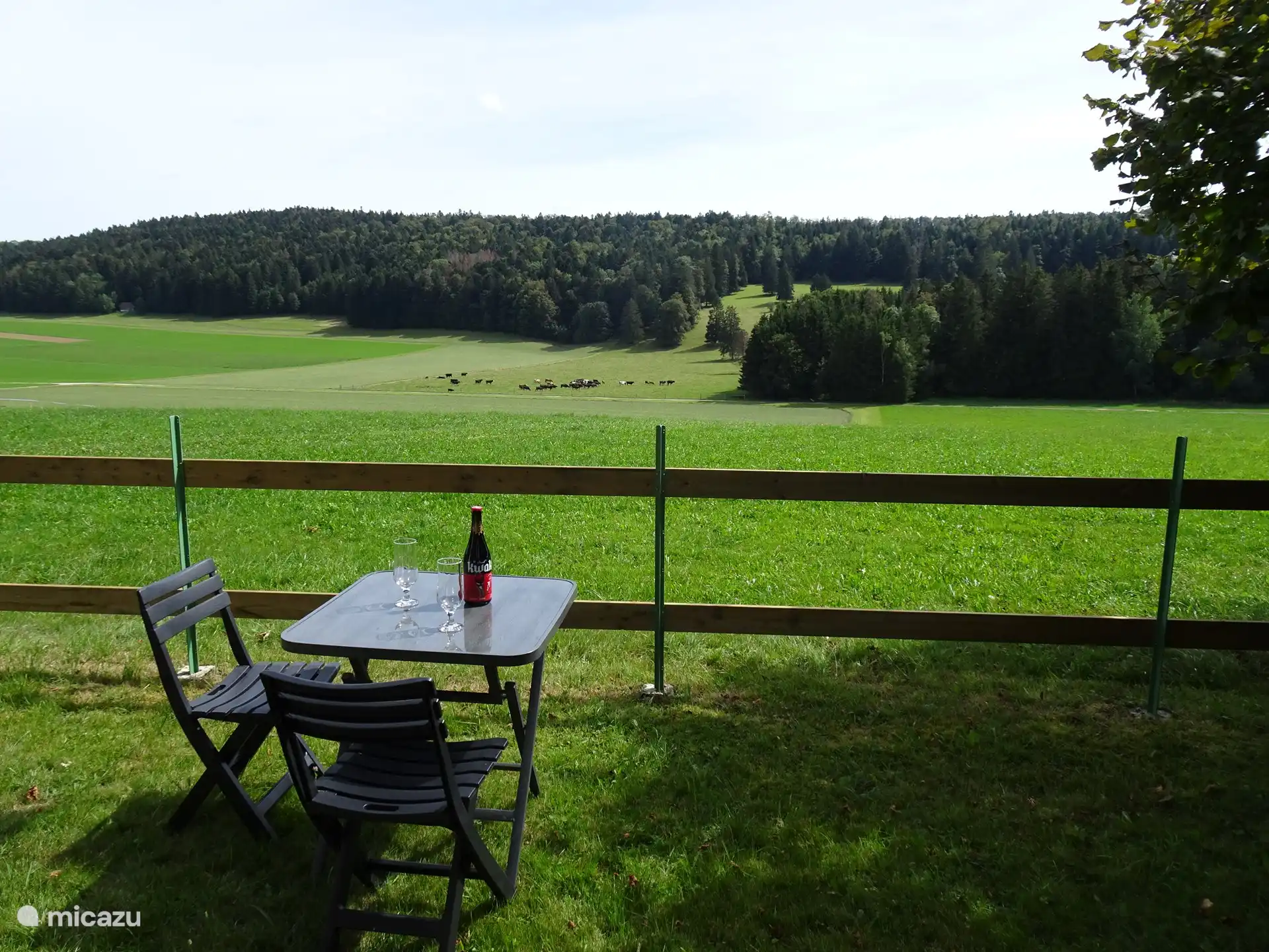 view from the garden