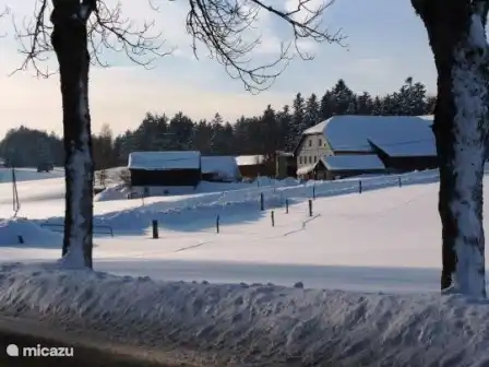 Vacherie on the opposite side of the street