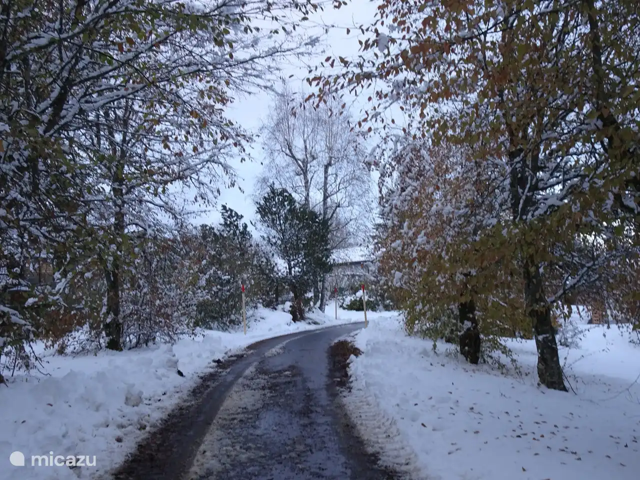 Autumn walk with snow