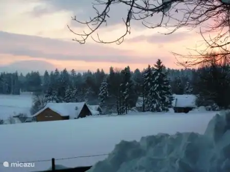 view from the bedroom window