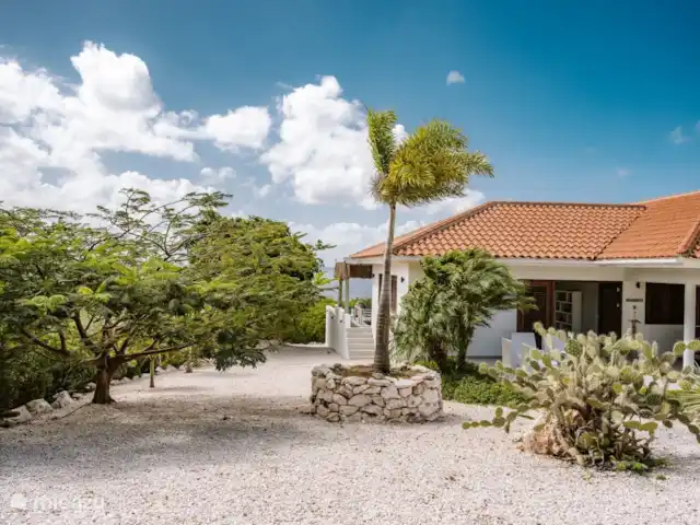 Kas Lamunchi | Curaçao, Banda Abou (ouest), Coral Estate, Rif St.Marie - villa Palmiers et nombreux cactus dans le jardin