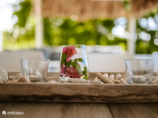 Kas Lamunchi | Curaçao, Banda Abou (ouest), Coral Estate, Rif St.Marie - villa Bougainvilliers du jardin