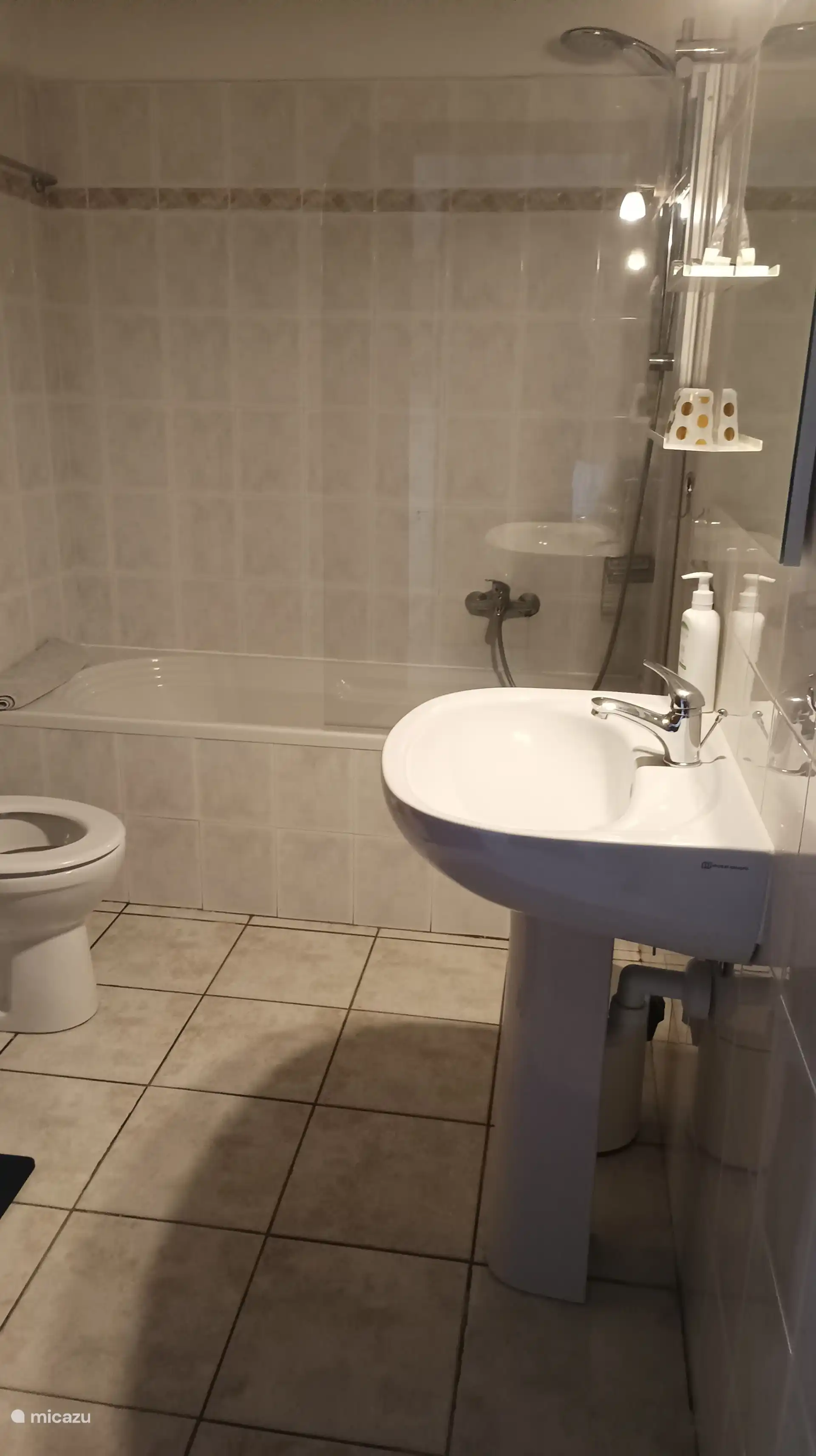 Badkamer met bad en douche, wasbak, wc, en wasmachine.
