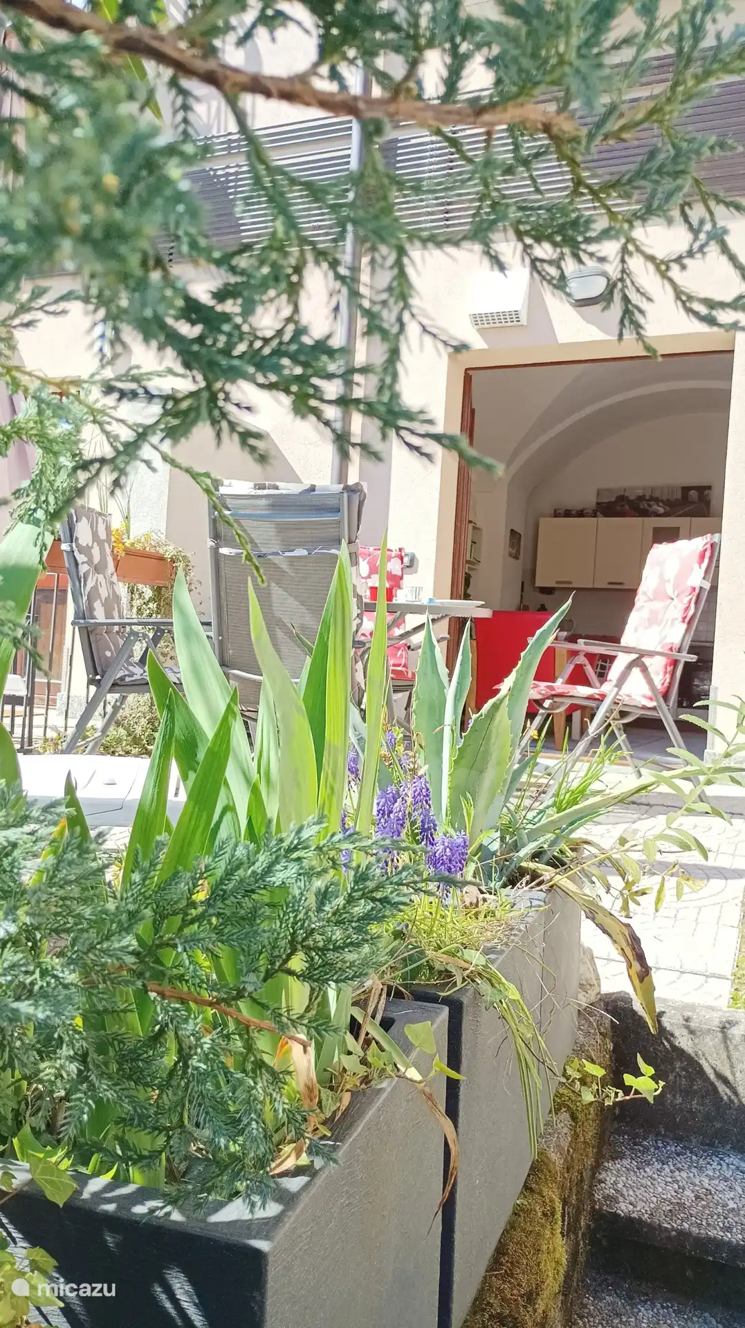 Relájese en el jardín, con bonitas sillas y tumbona. Cerrado de forma segura (por medio de una valla) para niños y perros