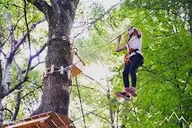 También hay un hermoso PARQUE DE AVENTURA cerca de Gravedona, donde se hacen grandes aventuras para jóvenes y mayores.