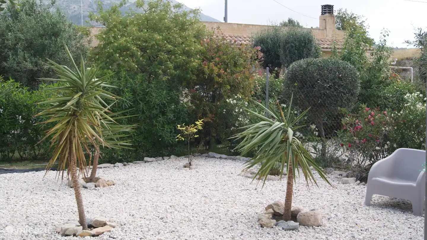 sun terrace in the garden