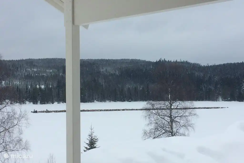 Migración de renos a través del lago frente a la casa en invierno