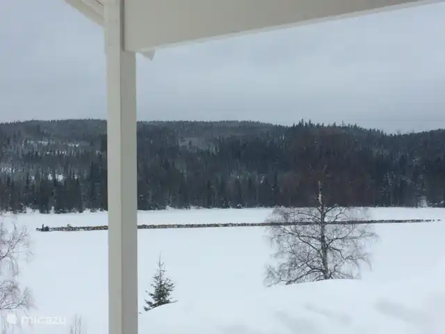 Cabane Luxueuse Avec Sauna et vue | Suède, Jämtland, Gällö - maison de vacances Migration des rennes à travers le lac devant la maison en hiver