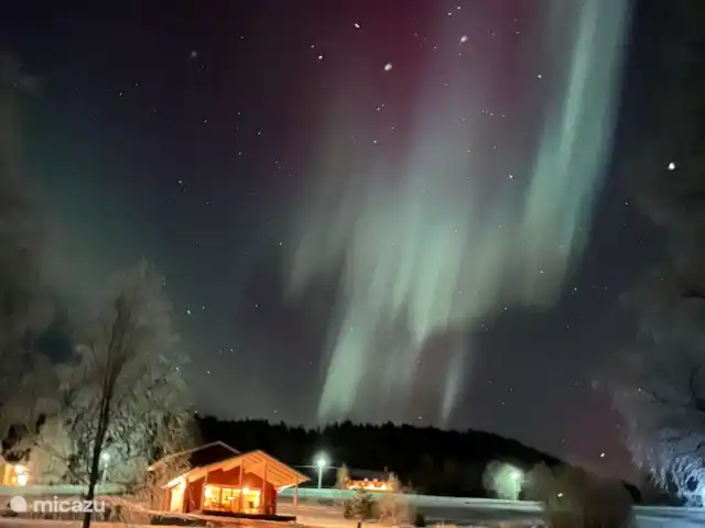 Cabane Luxueuse Avec Sauna et vue | Suède, Jämtland, Gällö - maison de vacances Aurores boréales au-dessus de la Stuga