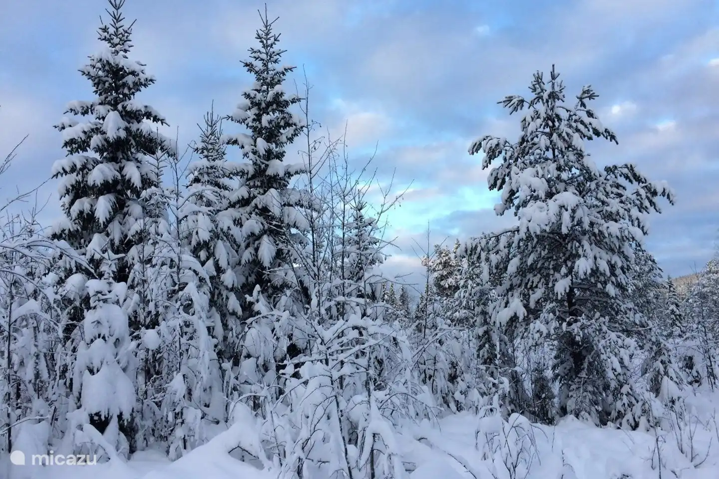 País de las maravillas de invierno cerca de Stuga