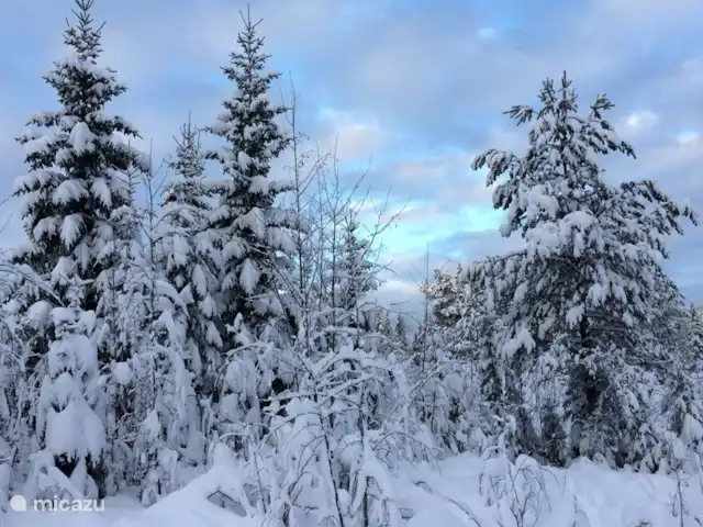 Cabane Luxueuse Avec Sauna et vue | Suède, Jämtland, Gällö - maison de vacances Pays des merveilles hivernales près du Stuga