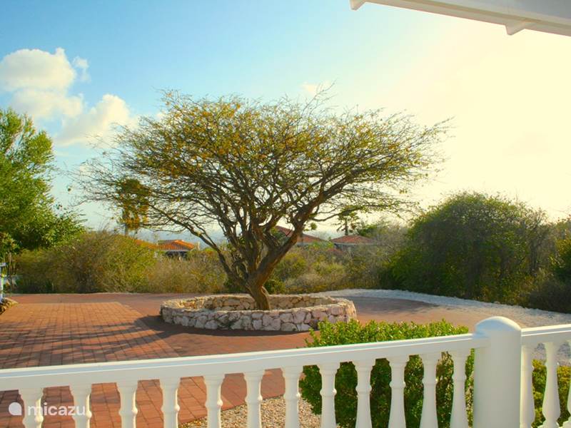 Ferienwohnung Curaçao, Banda Abou (West), Coral-Estate Rif St.marie Villa Villa Coral Blue Curacao