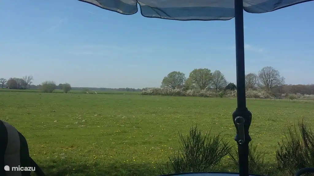 Blick von der Terrasse