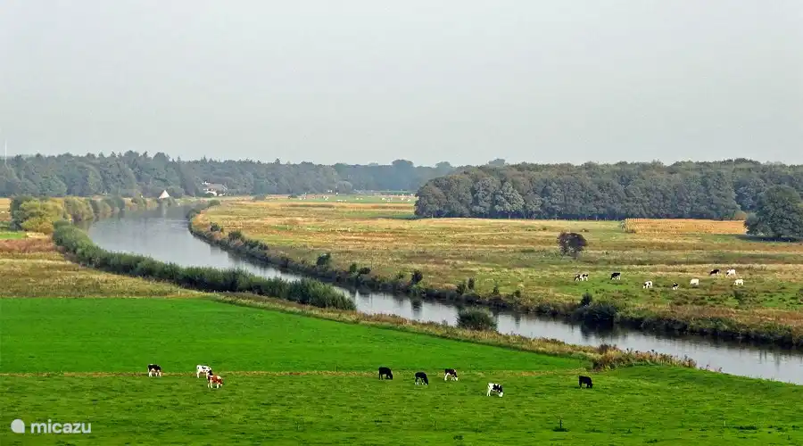 Die Vecht