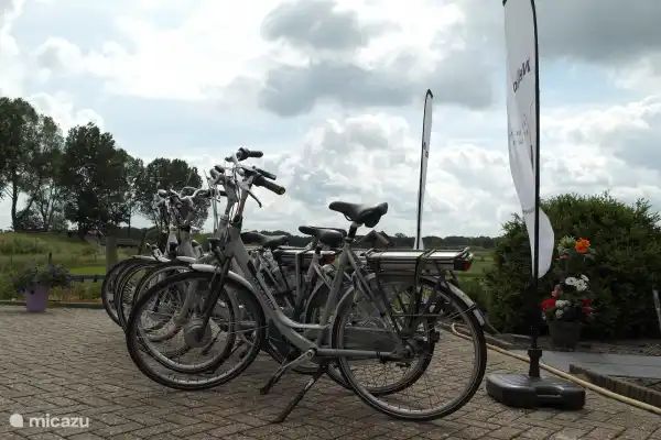 Leihfahrräder in unmittelbarer Nähe