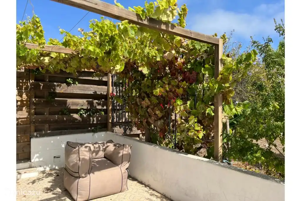 Entspannen unter den Weinreben