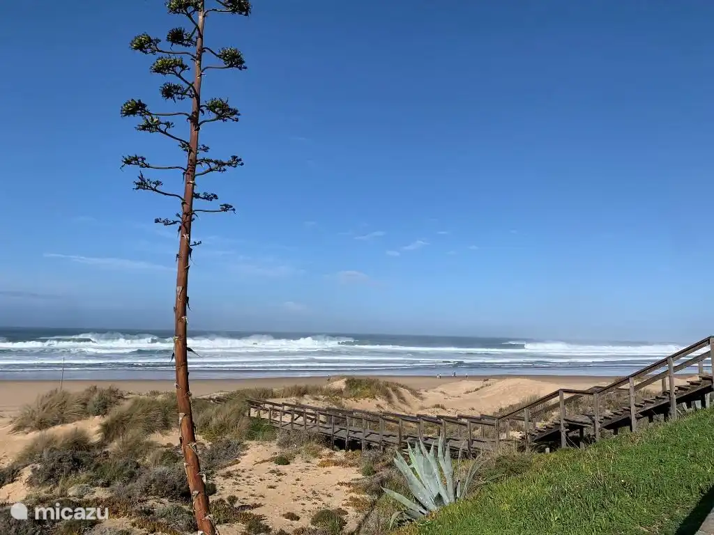 Praia de Monte Clerigo