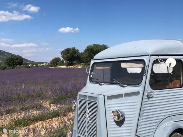 Villa Avalon | France, Ardèche, Vallon-Pont-d'Arc - villa Musée de la lavande (Saint Remèze)