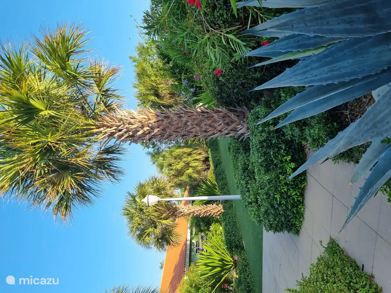 Vista general de parte del jardín.