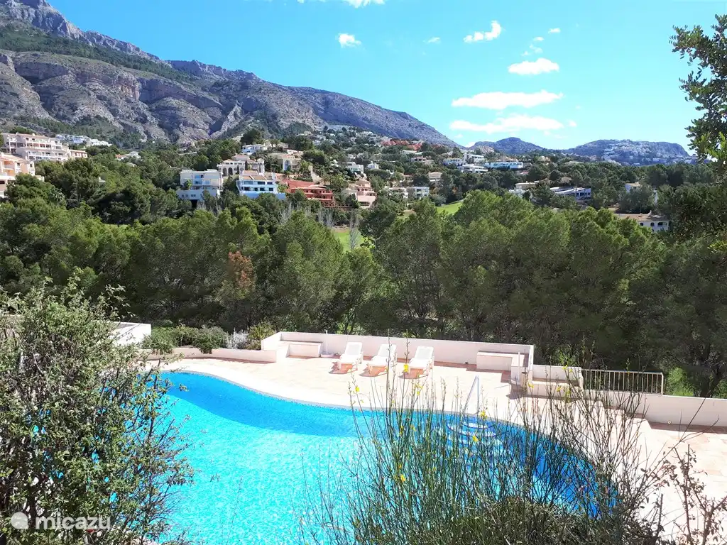 Piscine communautaire