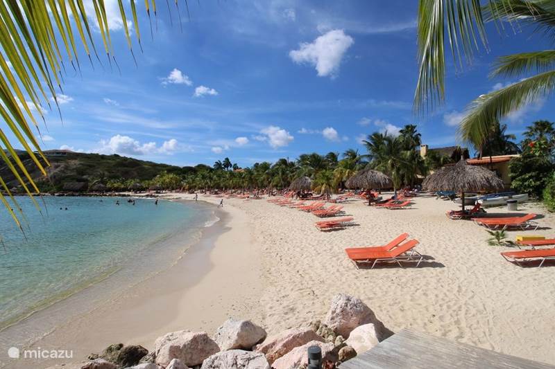 Vakantiehuis Curaçao, Curacao-Midden, Blue Bay Villa ⭐Blue Bay BEACH villa - 3min/strand⭐