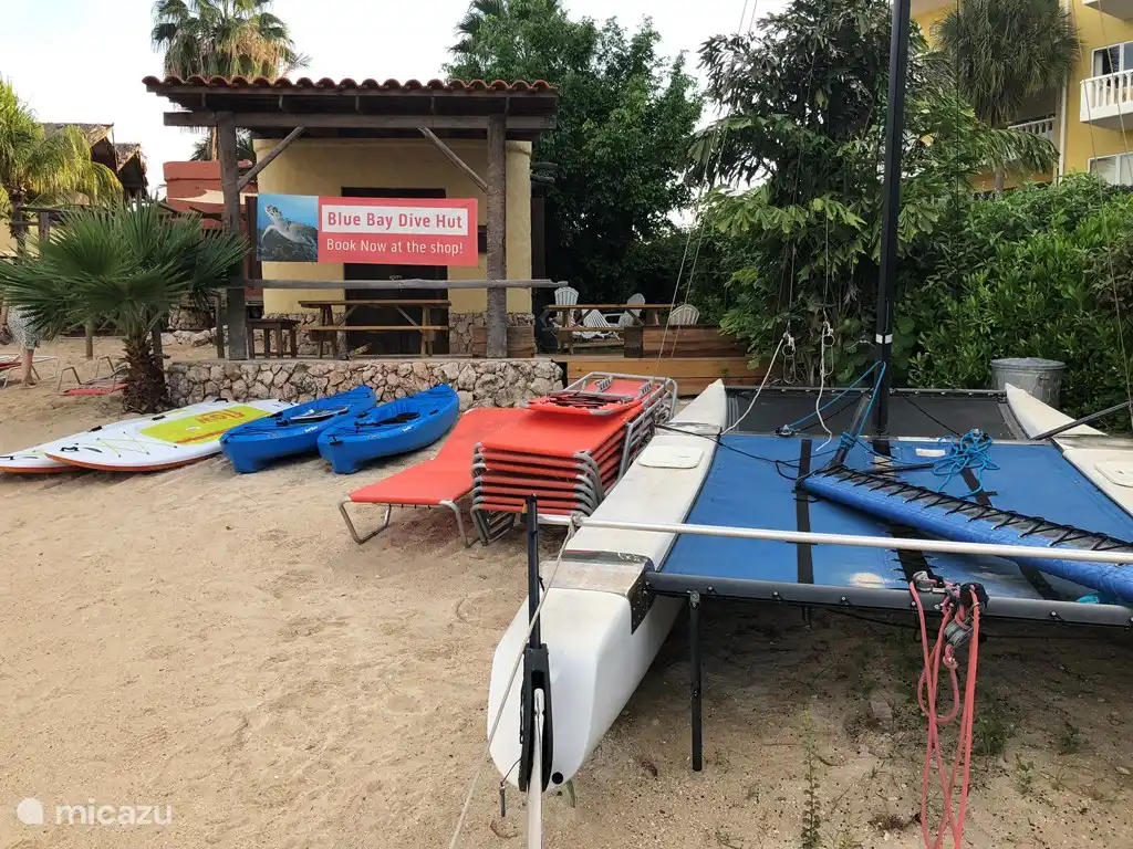 Kayak rental on the beach