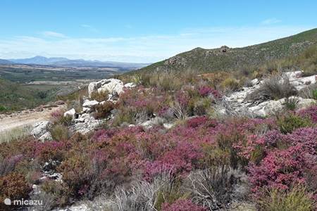 Hottentot Nature Reserve 2