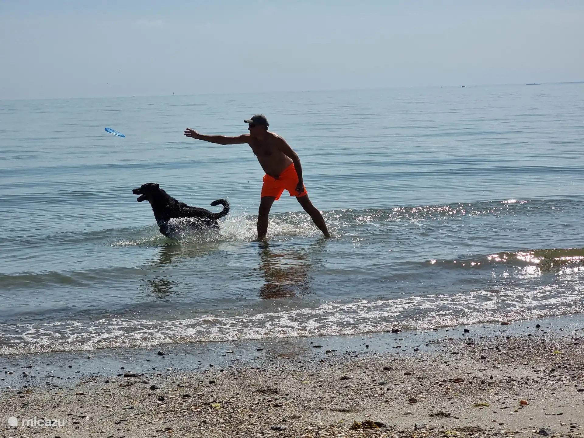 Jugar con tu perro en el agua de mar. Sin playas concurridas ni temperaturas agradables.