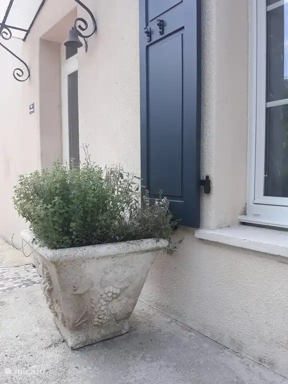 Kruidentuintje Genießen Sie das Kochen mit frischen Kräutern, geben Sie ihm ab und zu etwas Wasser, dann bleiben die Kräuter für alle schön!