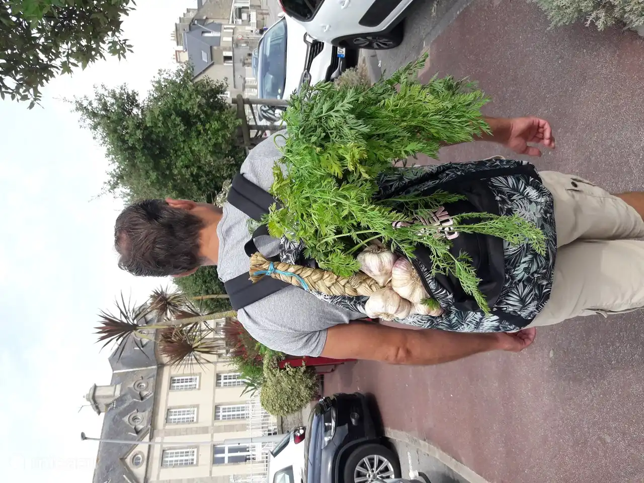 Gemüse auf dem Samstagmorgenmarkt in Saint Vaast bekommen, schönes Gemüse und viel billiger als im Supermarkt