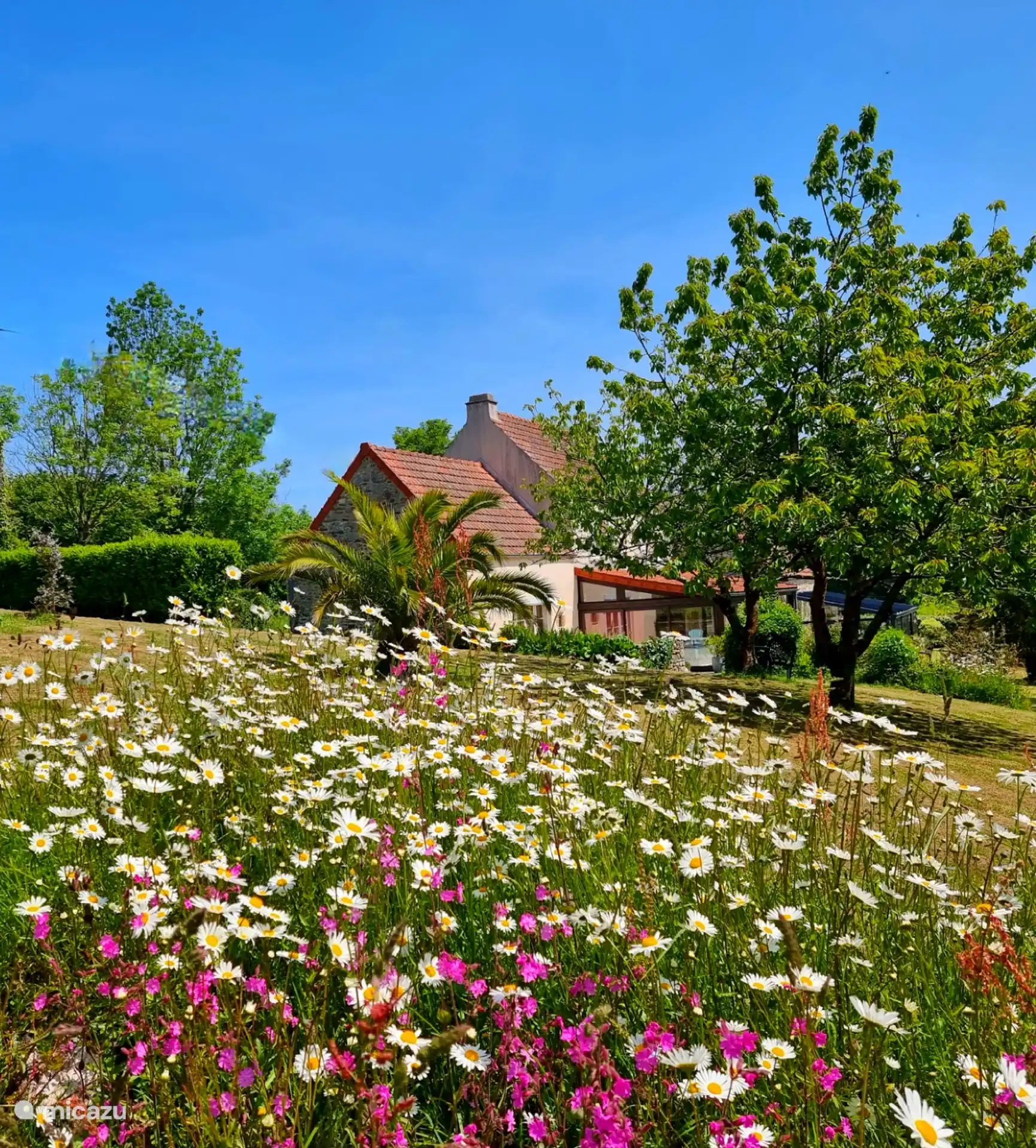 Schöner Garten, Terrasse und Wintergarten, einzigartiges Ferienhaus in Meeresnähe