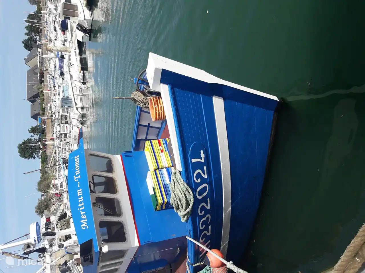 der frische Fisch wird oft an kleinen Ständen im Hafen von Saint Vaast verkauft, ein Kilo Makrele für 3 € ist immer noch sehr verbreitet!
