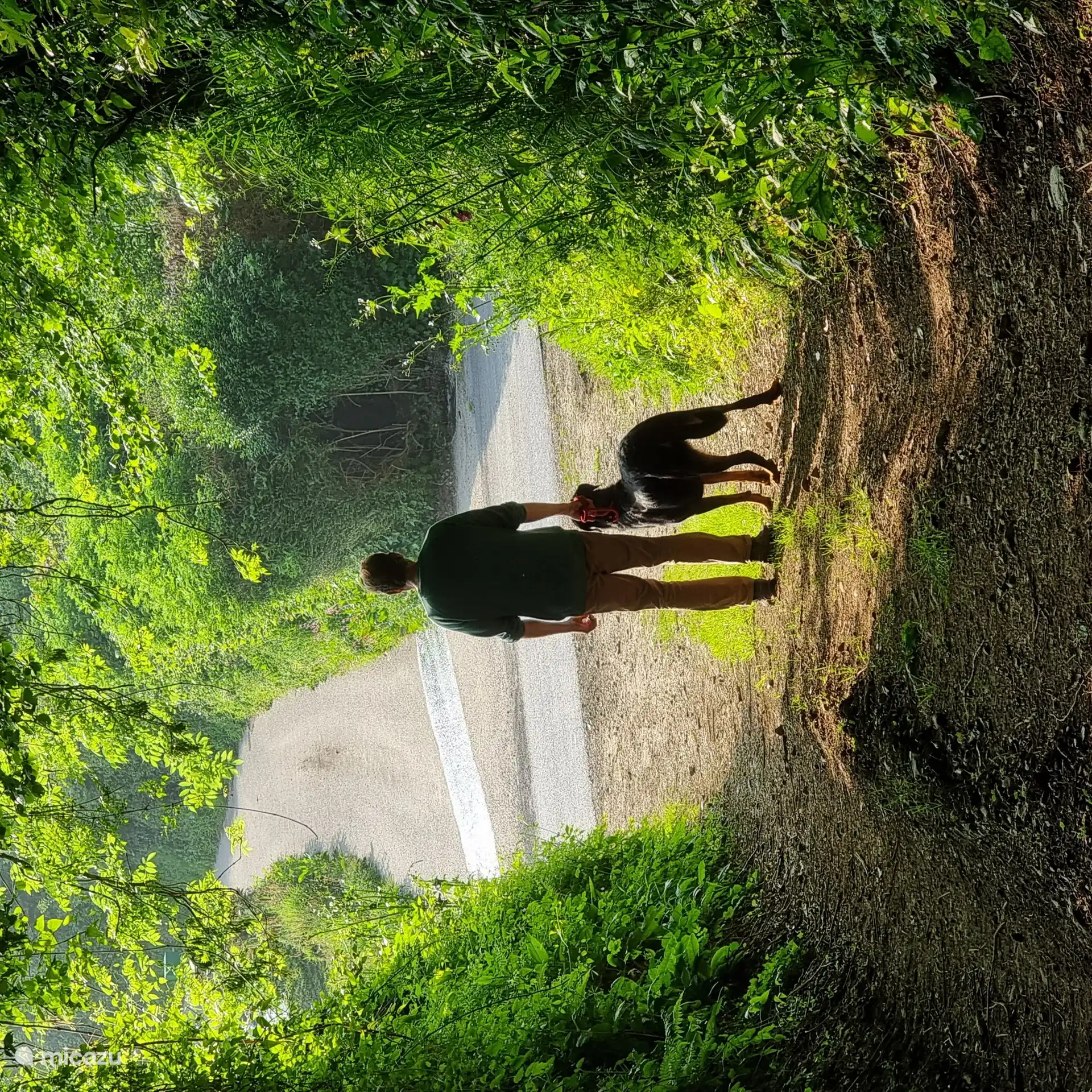 zu Fuß vom Ferienhaus auf schönen ruhigen Straßen zum Meer für diejenigen, die einen flotten Spaziergang mögen, ideal mit dem Hund!