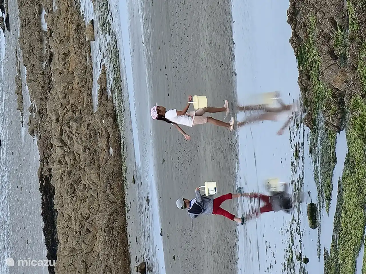 mit Ihren Kindern Schalentiere suchen und abends essen, die Tradition für die Familie in der Normandie.