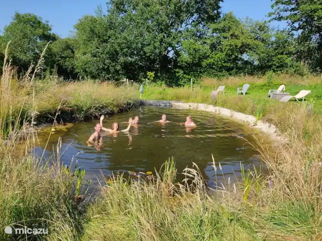 Casa rural Les Hirondelles en Francia, Orne, Rouperroux - casa vacacional Nuestro gran estanque para nadar.