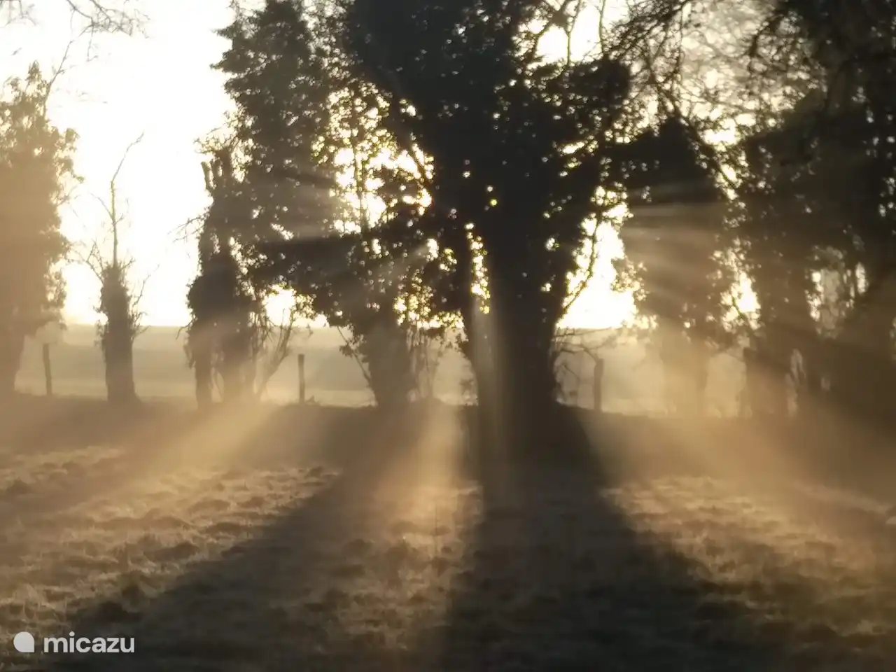 Sonnenaufgang über dem Gelände.