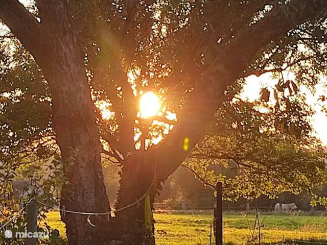 Casa rural Les Hirondelles en Francia, Orne, Rouperroux - casa vacacional Atardecer