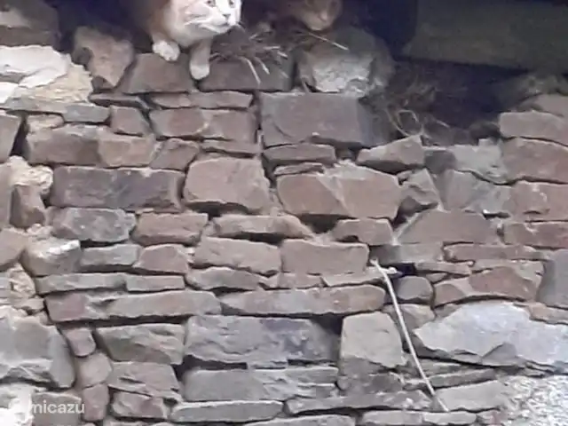 Casa rural Les Hirondelles en Francia, Orne, Rouperroux - casa vacacional Nuestros aventureros