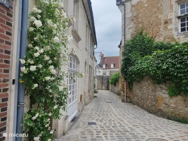Casa rural Les Hirondelles en Francia, Orne, Rouperroux - casa vacacional Mortagne au Perche