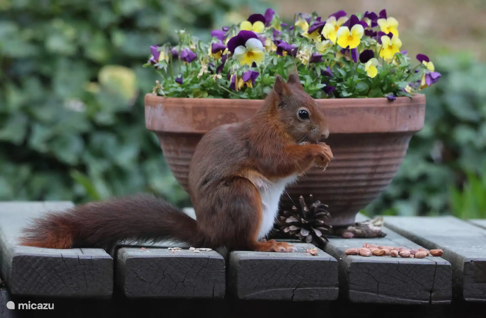 Es steht etwas Leckeres auf dem Tisch