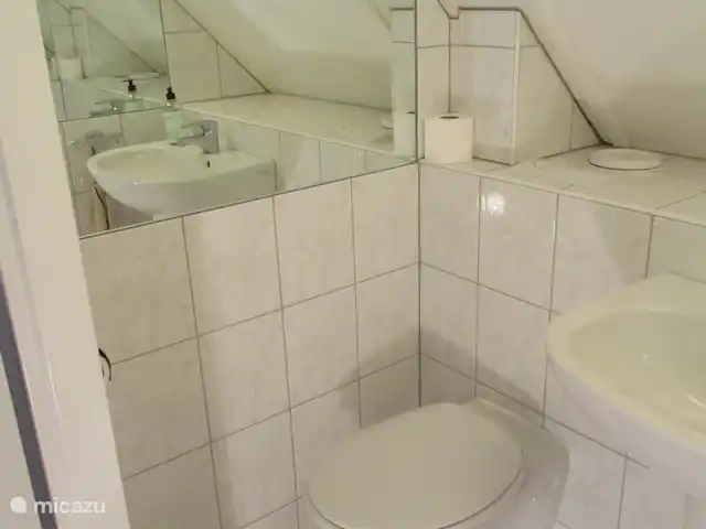 Hertenspoor 66  ‘t Wildryck Diever huren in Nederland, Drenthe, Diever - vakantiehuis 2e toilet boven met grote wastafel