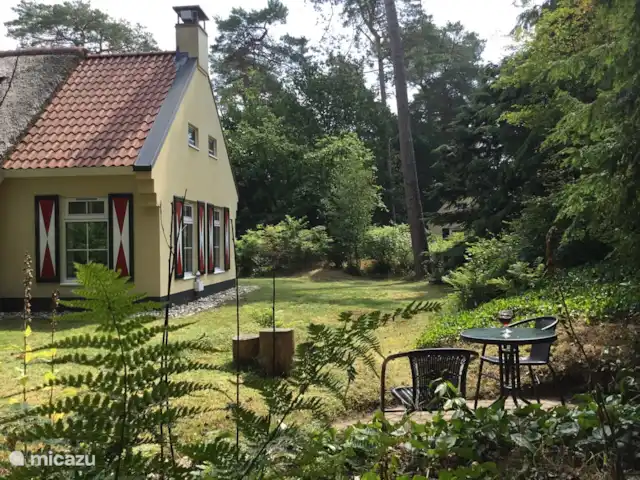 Hertenspoor 66  ‘t Wildryck Diever huren in Nederland, Drenthe, Diever - vakantiehuis In de ochtendzon