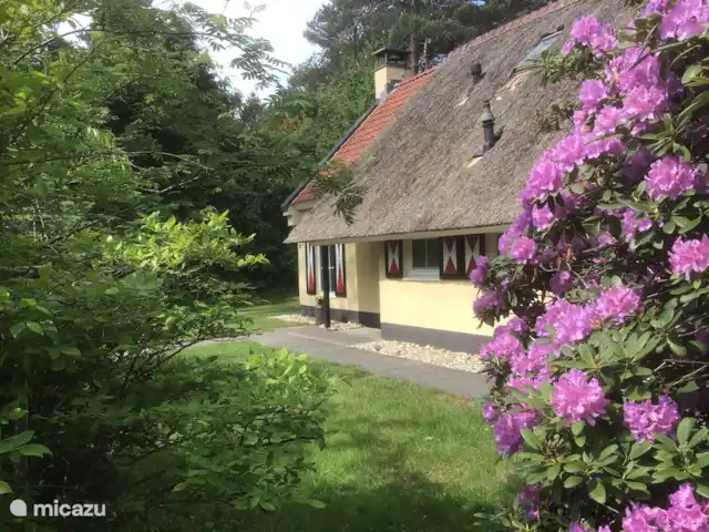 Hertenspoor 66  ‘t Wildryck Diever huren in Nederland, Drenthe, Diever - vakantiehuis Vanaf de zithoek bij het schuurtje