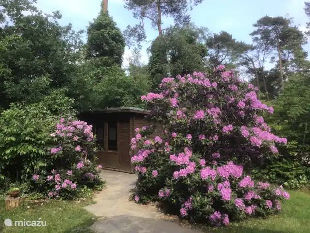 Hertenspoor 66  ‘t Wildryck Diever huren in Nederland, Drenthe, Diever - vakantiehuis Schuurtje voor de fietsen met elektra binnen en buiten.