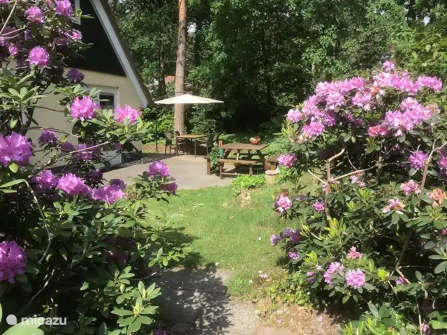 Hertenspoor 66  ‘t Wildryck Diever huren in Nederland, Drenthe, Diever - vakantiehuis Doorkijkje vanaf het schuurtje