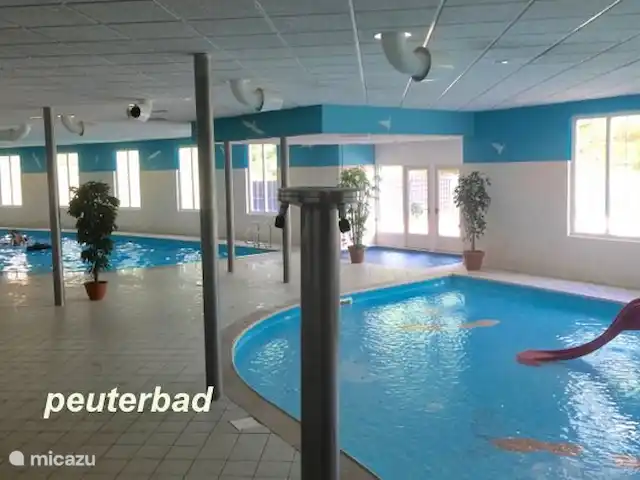 Hertenspoor 66  ‘t Wildryck Diever huren in Nederland, Drenthe, Diever - vakantiehuis Peuterzwembad op de voorgrond
Daarachter het zwembad