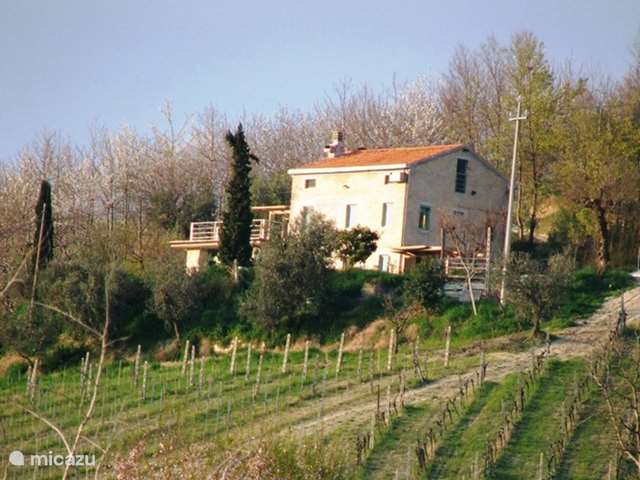 Holiday home in Italy, Marche, Montefiore dell &#39;Aso - holiday house casa anne