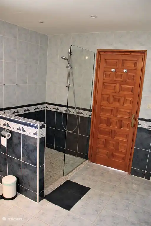 Geräumige begehbare Dusche.